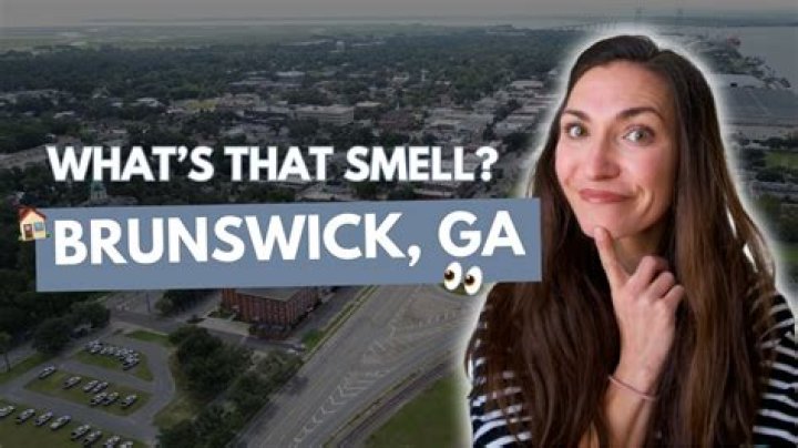 What is Brunswick Georgia known for?