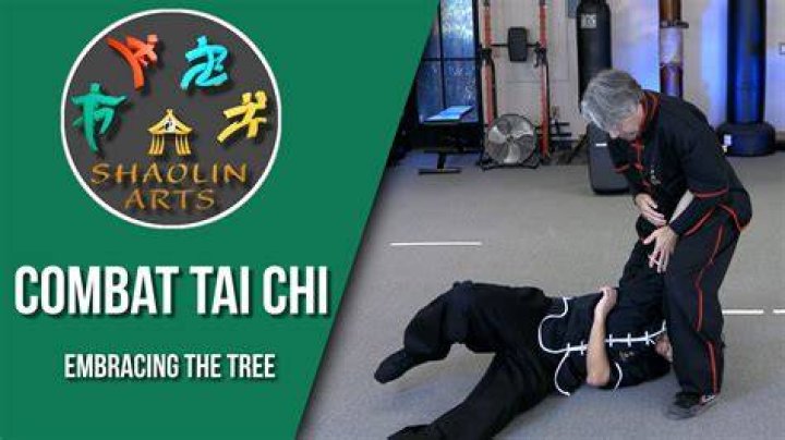 What is combat tai chi?