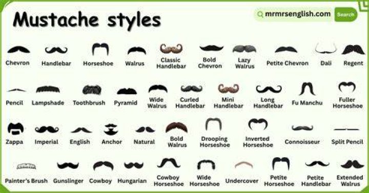 What is Dali's Moustache called?