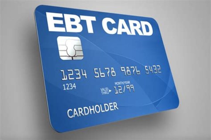 What is EBT Merchant FNS?