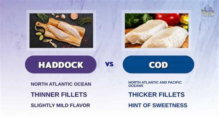 What is haddock and bloater?