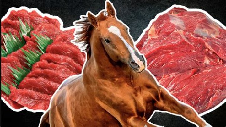 What is horse meat called in Germany?