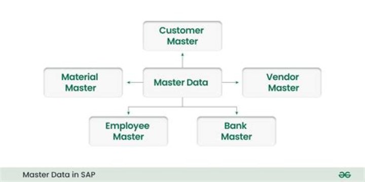 What is master data in SAP HR?