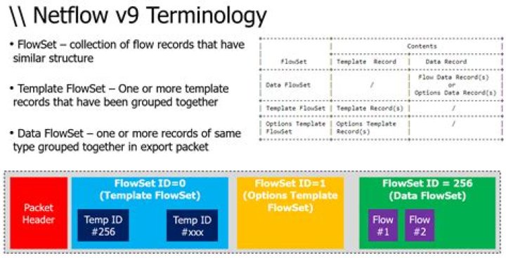 What is NetFlow V9?