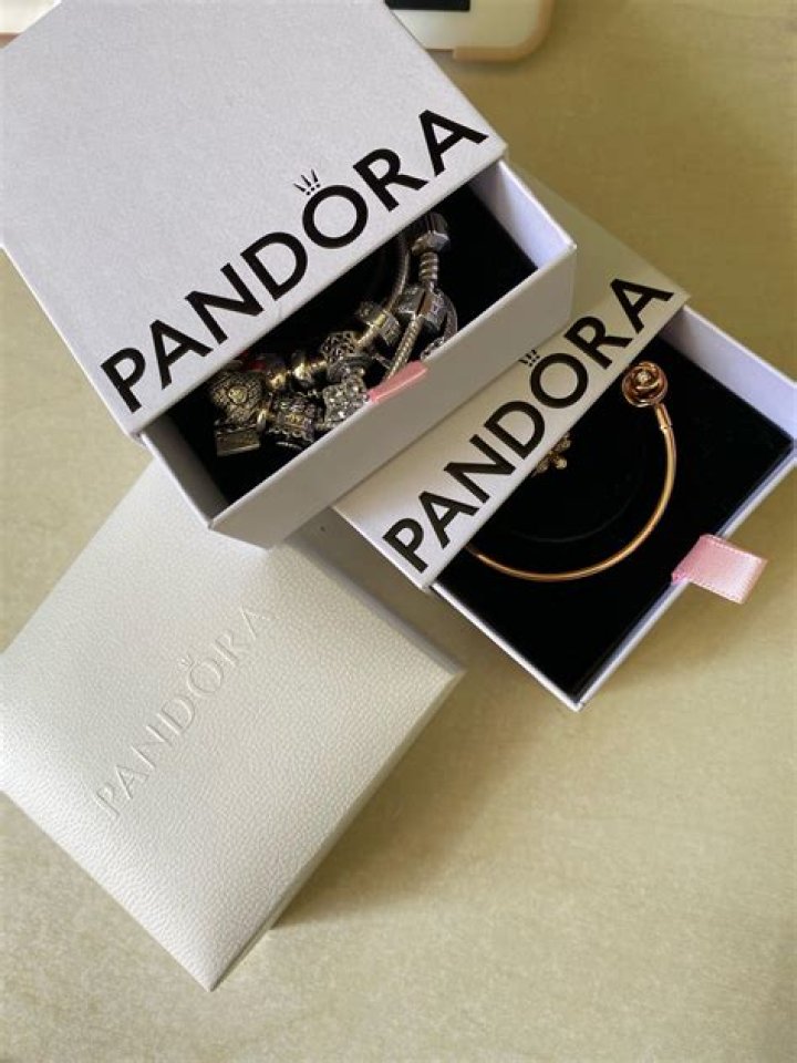 What is Pandora's Box Inc?