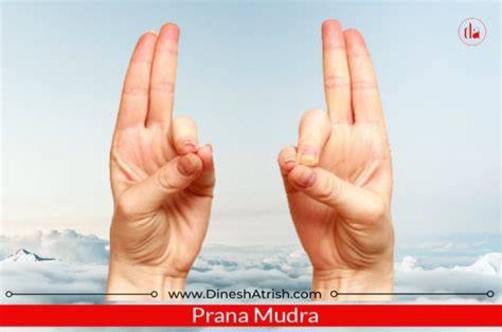 What is Prana Mudra?