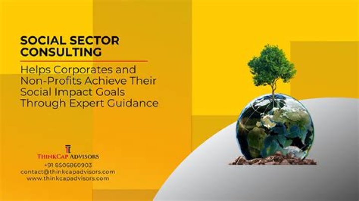 What is Social Sector Consulting?