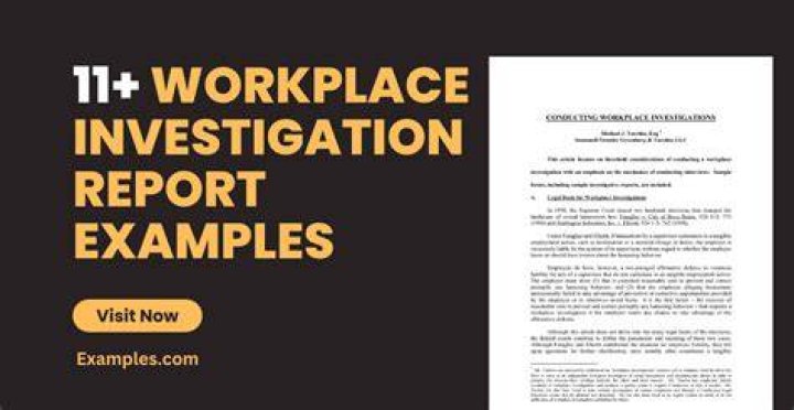 What is spot investigation report?