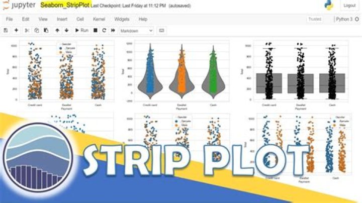 What is strip plot design?