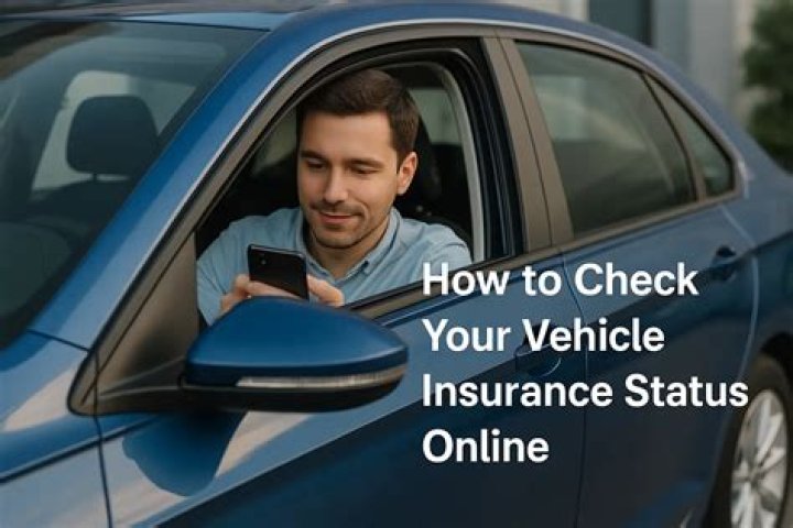 What is TexasSure vehicle insurance verification?