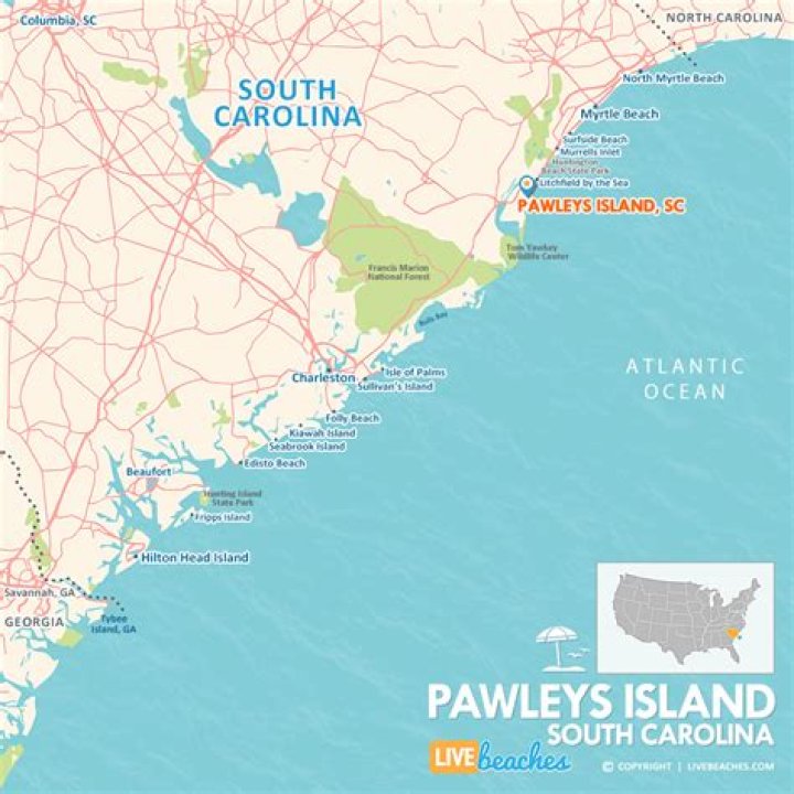 What is the area code for Pawleys Island SC?