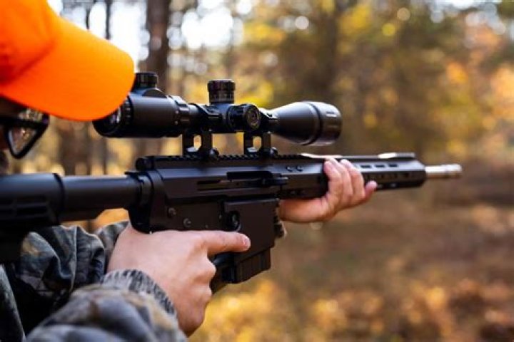 What is the best AR for deer hunting?