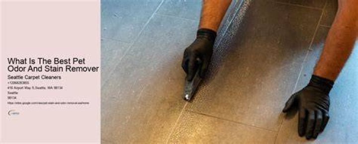 What is the best pet odor and stain remover?