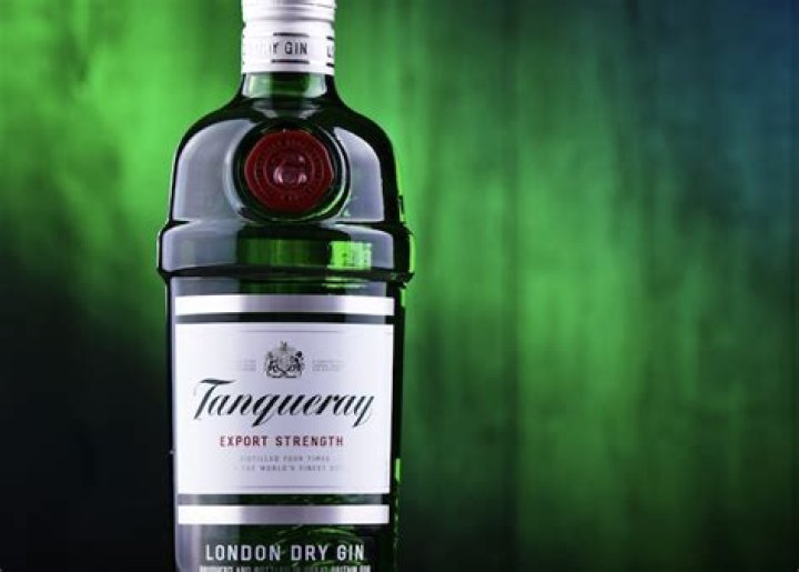 What is the best way to serve Tanqueray gin?