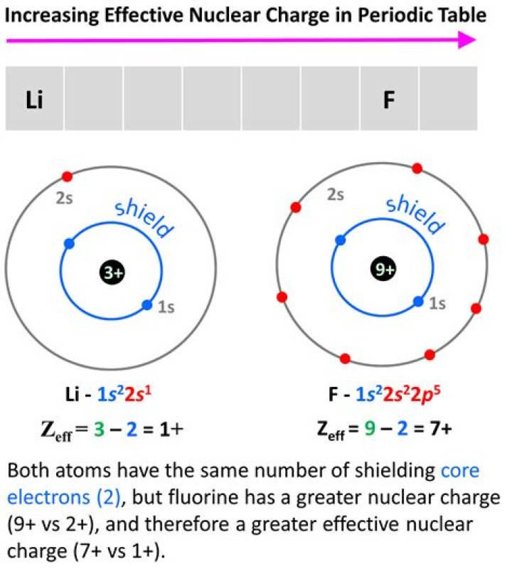 What is the charge of ultrasound?
