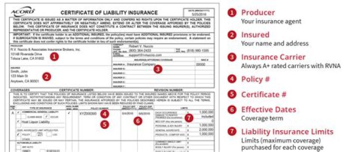 What is the difference between a binder and a certificate of insurance?