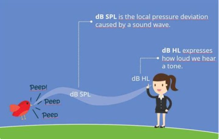What is the difference between dB HL and dB SPL?