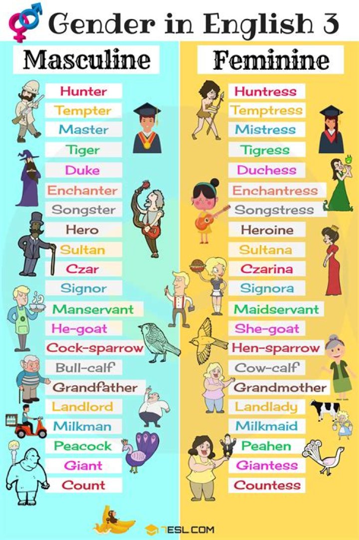 What is the feminine gender of villain?