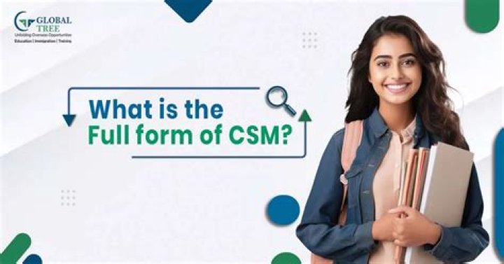 What is the full form of MSV?