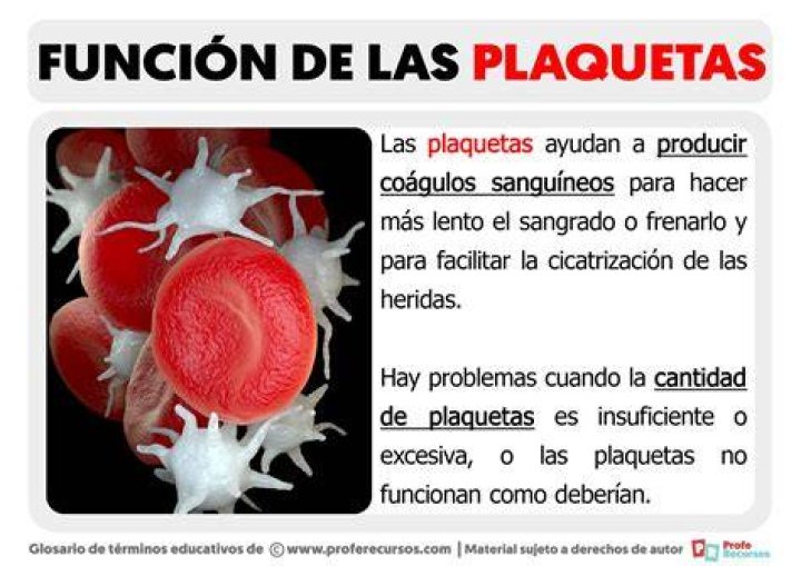 What is the function of claw?