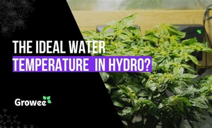 What is the ideal water temperature?