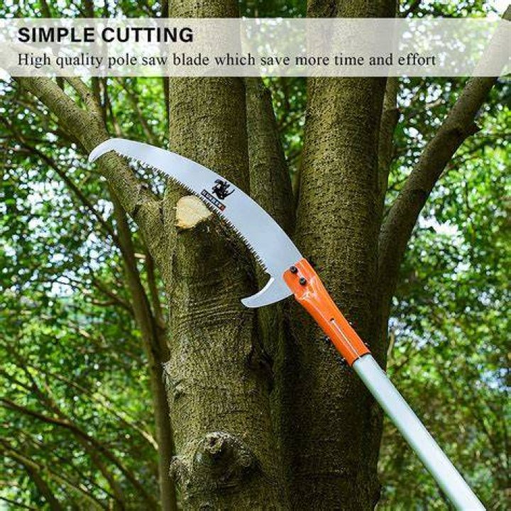 What is the longest tree pruner?
