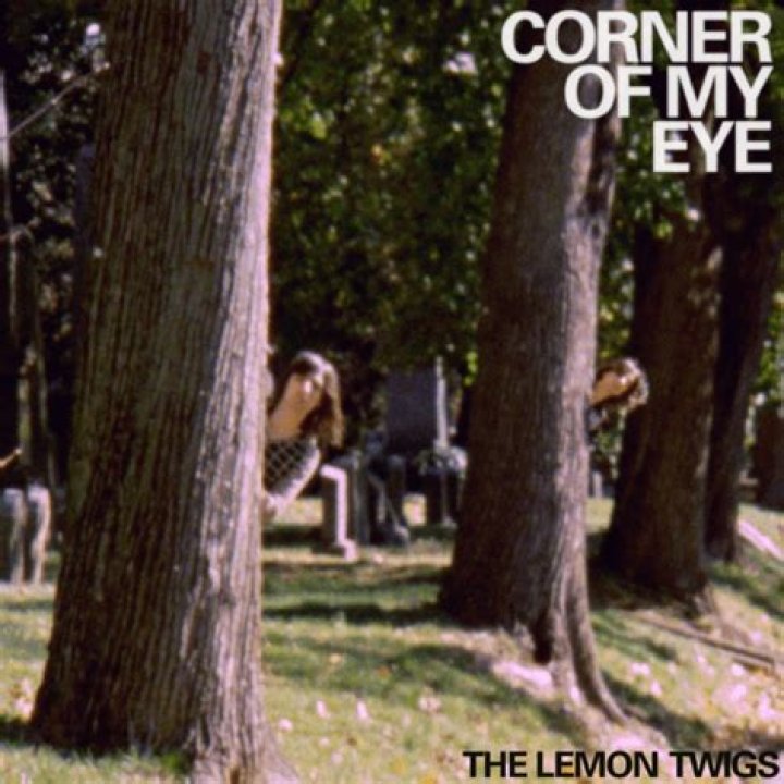 What is the lump in the corner of my eye?