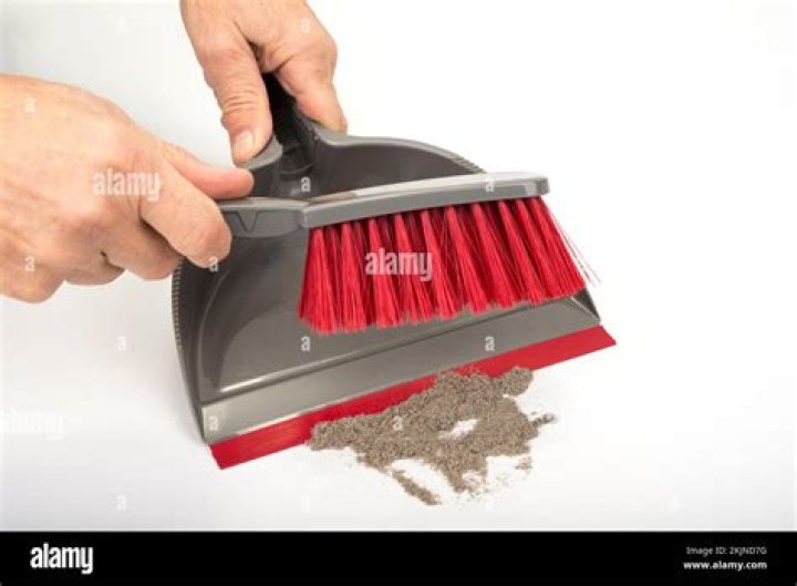What is the meaning of dust pan?