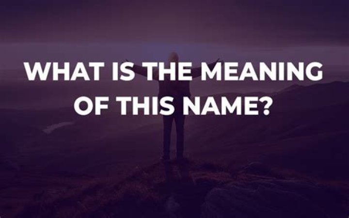 What is the meaning of MSc?