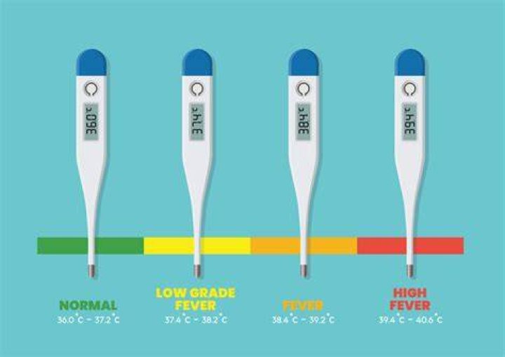 What is the normal range for herpes?