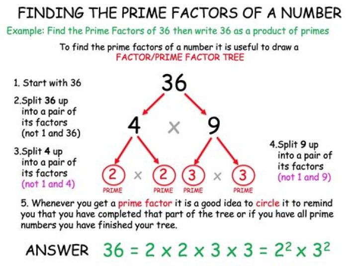 What is the prime factor of 236?
