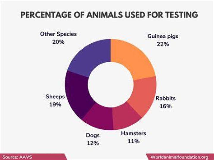What is the purpose of animal science?