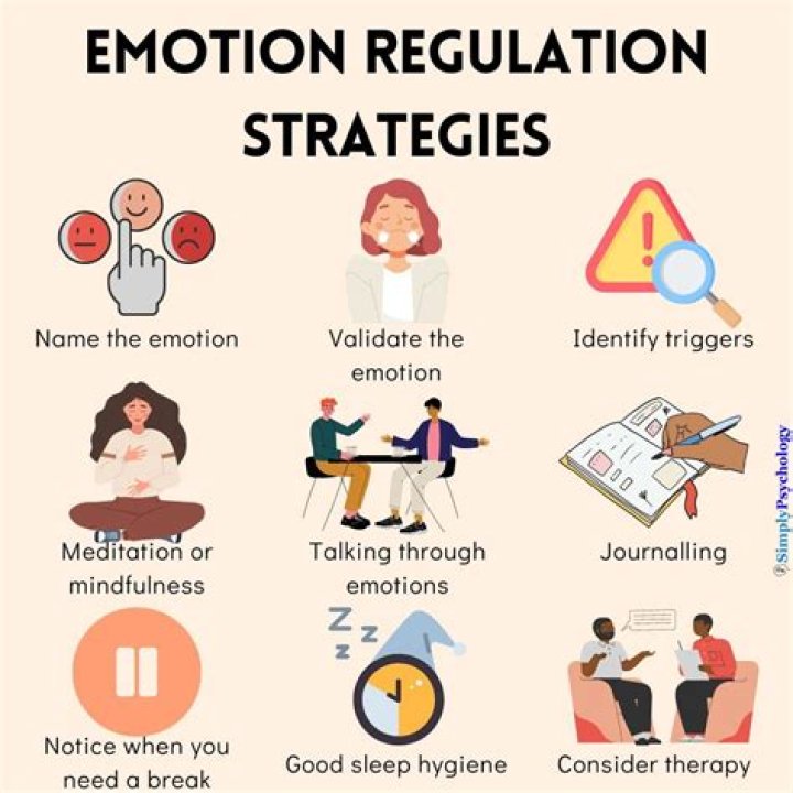 What is the purpose of Regulation O?