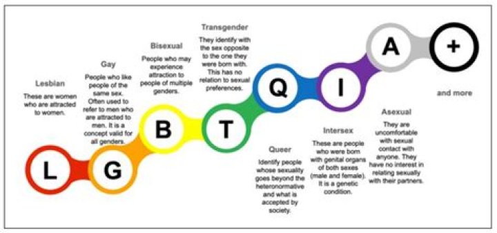 What is the Q in Q Tip?