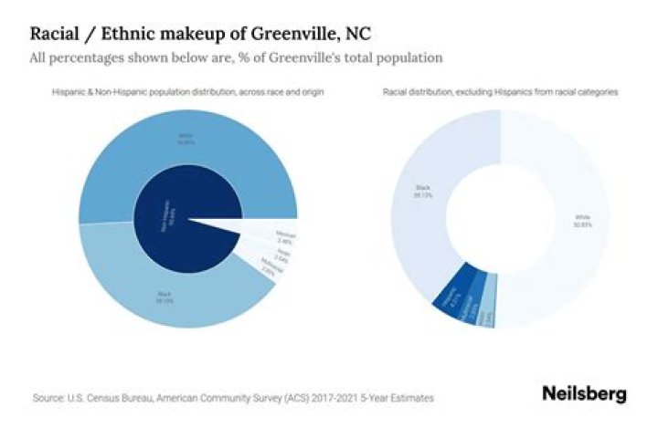 What is the racial makeup of Greenville SC?