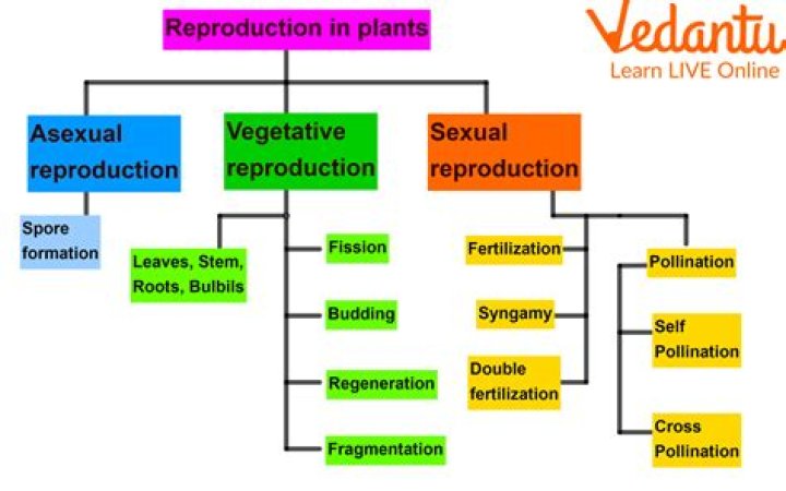 What is the role of man in natural resources?