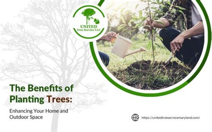 What is the science of planting trees?