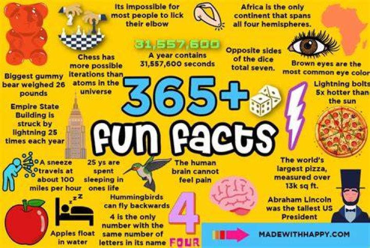 What is the shocking fact about insects?
