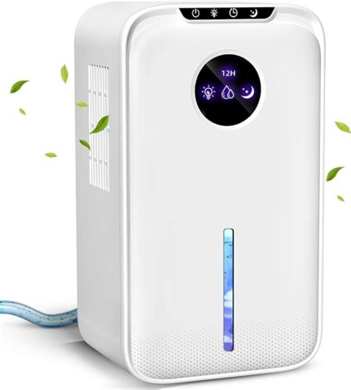 What is the smallest size dehumidifier?
