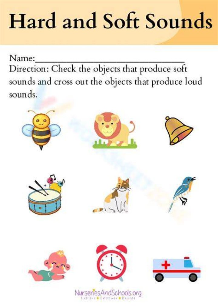 What is the sound of alligator?