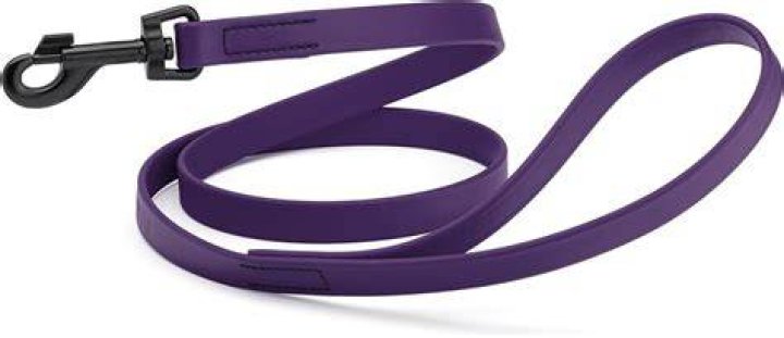 What is the strongest dog leash?
