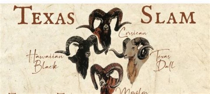 What is the Texas Ram Slam?