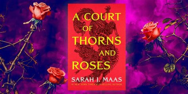 What is the theme of a court of thorns and roses?