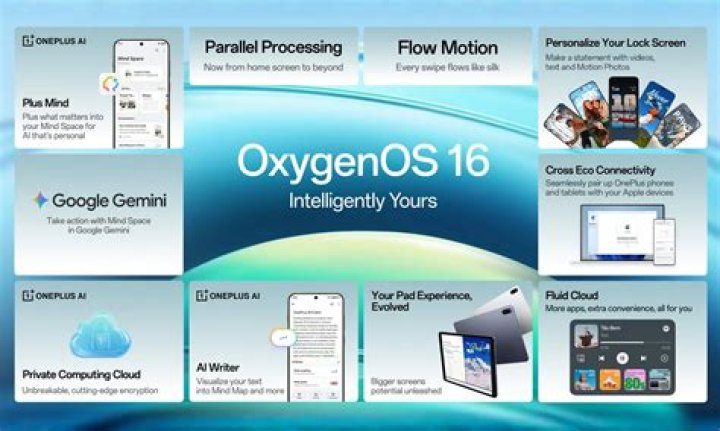 What is the use of Oxygen XML Editor?