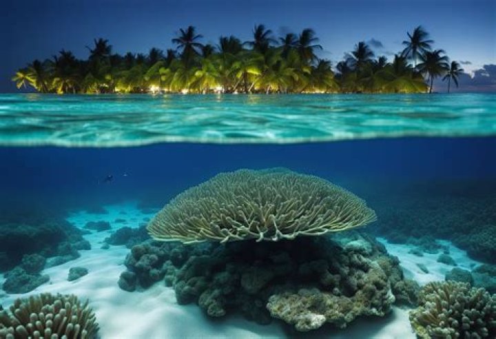 What is there to do in Rum Point Grand Cayman?