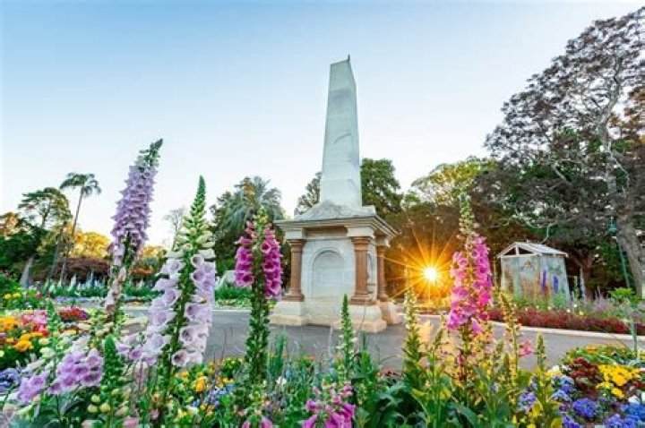 What is Toowoomba famous for?