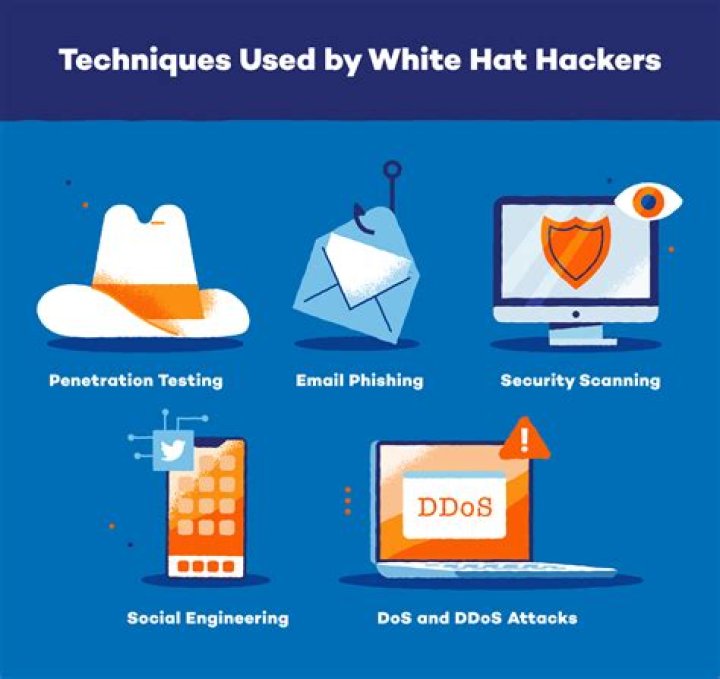 What is WhiteHat education?