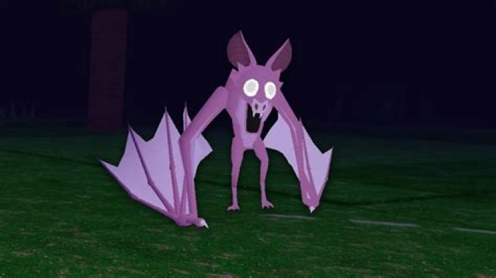 What kind of bat is Dracula?