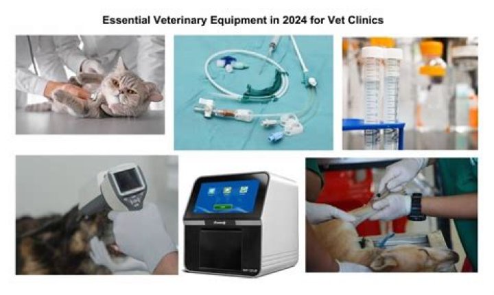 What kind of equipment do veterinarians use?