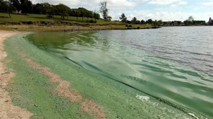 What lakes in NJ are closed due to algae?